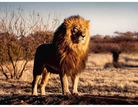 PUZZLE LEU REGELE ANIMALELOR, 1500 PIESE - RAVENSBURGER (RVSPA17107)