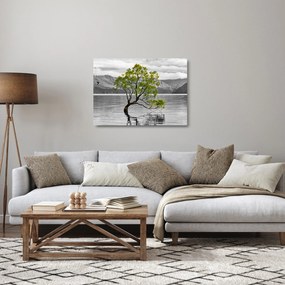 Tablou pe sticlă copacului în mijlocul lacului (70x50 cm)