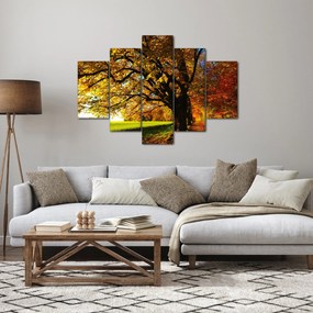 Tablou cu toamna (150x105 cm)