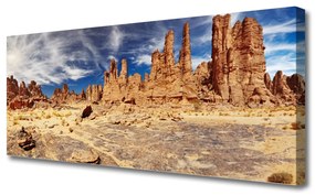 Tablou pe panza canvas Desert Peisaj Maro Alb Albastru
