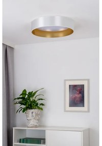 Plafonieră LED Duolla ROLLER LED/24W/230V d. 45 cm argintiu/auriu
