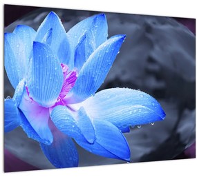 Tablou pe sticlă florilor în detailu (70x50 cm)