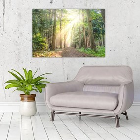 Tablou - Poteci în pădure (90x60 cm)