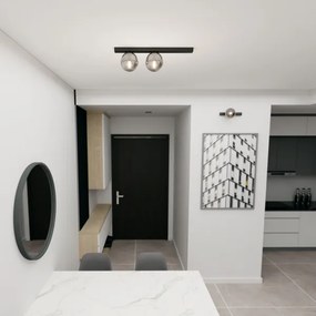 Plafonieră FIT 2xE14/10W/230V negru