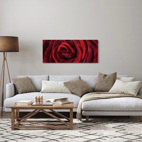 Tablou - Trandafir roșu cu picături de rouă (120x50 cm)
