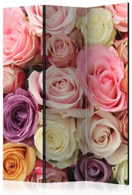 Paravan - Pastel roses [Room Dividers]