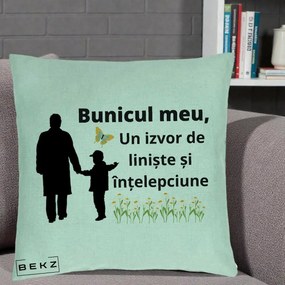 Cadou pentru Bunic - Perna Personalizata Bunicul Meu Izvor de Liniste cu Fluture si Baietel, 40x40 cm, Verde Menta, Husa Detasabila, Perna Inclusa, BEKZ®