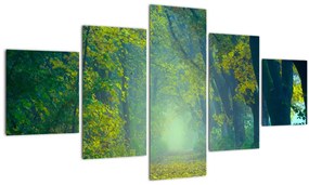 Tablou cu drum dea lungul cu copaci (125x70 cm), în 40 de alte dimensiuni noi
