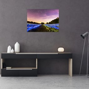 Tablou pe sticlă cu câmp colorat (70x50 cm)