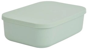 Cutie de depozitare verde-deschis din plastic cu capac 24x18x8 cm – Homéa