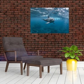Tablou - Delfin sub apă (90x60 cm)