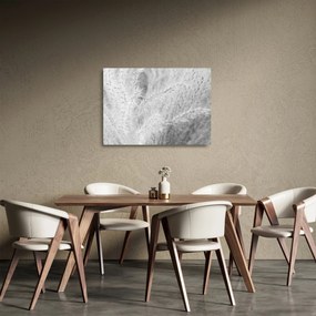 Tablou pe sticlă - Iarbă de pampas N⁰1 (70x50 cm)
