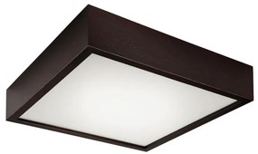 Plafonier 2xE27/60W/230V, iluminare plafon simplă și eficientă