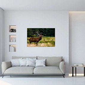 Tablou cu cerb (90x60 cm)