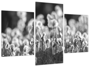 Tablou - Pajiște de vară (90x60 cm)