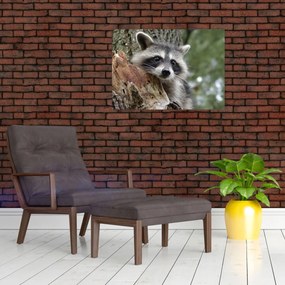 Tablou - Raton (70x50 cm)