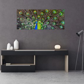 Tablou - Păun (120x50 cm)