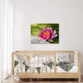Tablou - Lotus (70x50 cm)