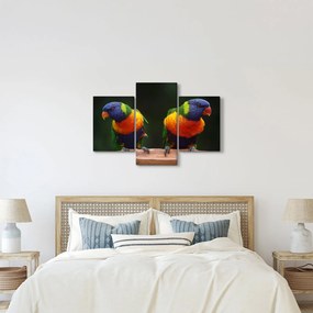 Tablou cu papagali (90x60 cm)