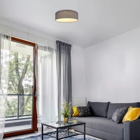 Rabalux - Plafonieră LED, 22 W, 230 V, gri