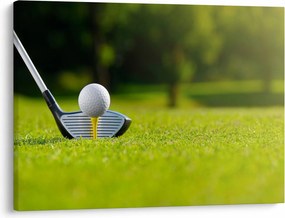 Tablou - Golf (70x50 cm)
