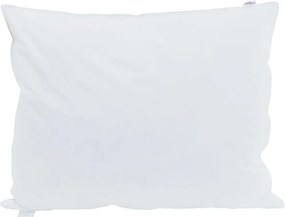 vidaXL Pernă cu pernă 2 pcs Alb 50 x 75 cm Pene