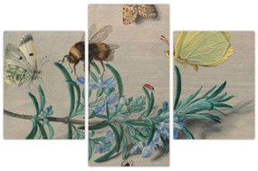 Tablou - Jan van Kessel the Elder, Insects and a Sprig of Rosemary, reproducere (90x60 cm)