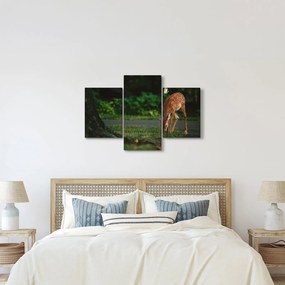 Tablou cu pui de cerb (90x60 cm)