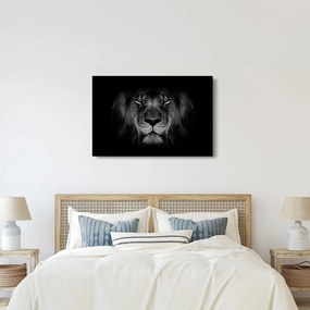Tablou - Leu majestic (90x60 cm)