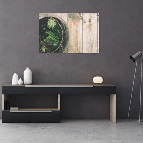 Tablou - Terariu de sticlă (90x60 cm)