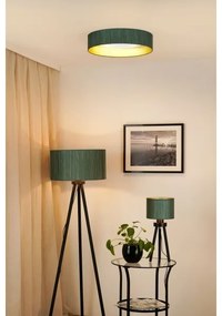 Brilagi - Corp de iluminat LED dimabil VEGAS SHINE, 24 W, 230 V, verde/auriu, cu telecomandă