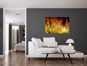 Tablou - Detaliu rouă (90x60 cm)