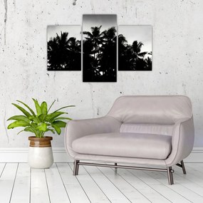 Tablou alb negru - palmieri (90x60 cm)