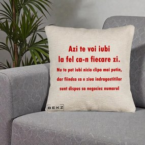 Cadou pentru Iubita - Perna Personalizata Azi Te Voi Iubi, 40x40 cm, Bej Canapea, Husa Detasabila, Perna Inclusa, BEKZ®