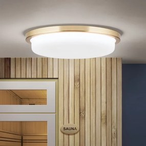 Plafoniera LED moderna LEROX 30cm alama mat