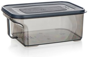 Banquet Cutie de depozitare cu mâner ZOYA 2,6 l,fumurie, 2,6 l