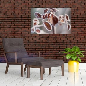 Tablou - Detaliu frunze (90x60 cm)