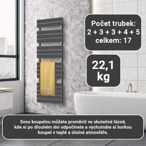 AQUAMARIN Radiator vertical pentru baie 160x60 cm, antracit