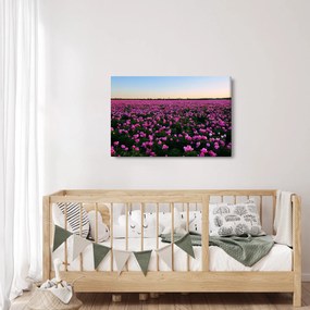 Tablou - Pajiștea cu lalele violet (90x60 cm)