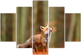 Tablou - Vulpe (150x105 cm)