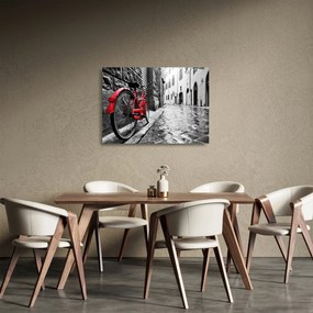 Tablou pe sticlă - Bicicleta roșie pe o stradă pavată (70x50 cm)