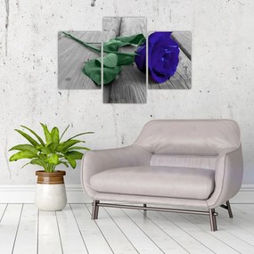 Tablou - Trandafir albastru cu tulpina verde (90x60 cm)