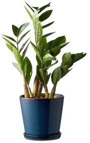 Ghiveci decorativ din gresie ø 14 cm Gastro Dark Blue/Black – Bitz