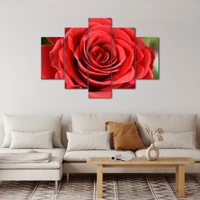Tablou - Flori de trandafir (150x105 cm)