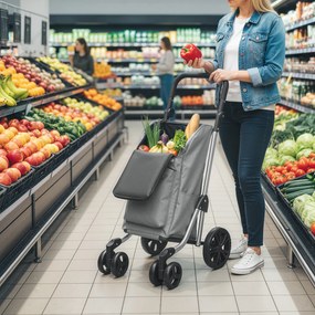 HOMCOM Cărucior de Cumpărături Pliabil din Aluminiu cu Roți, Geantă de 46L, Compartiment Frigorific, Mâner Reglabil, Gri | Aosom Romania
