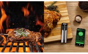 Termometru de bucatarie Ninja ProChef WP100EU, Bluetooth, Aplicatie mobila, Senzor de temperatura, Pana la 370°C, Negru/Argintiu