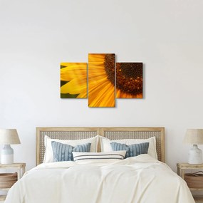 Tablou - Floarea-soarelui (90x60 cm)