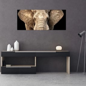 Tablou - Elefant african (120x50 cm)