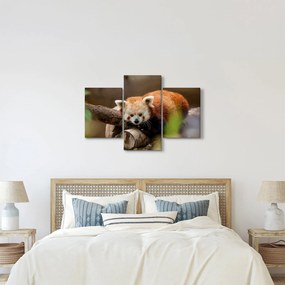 Tablou cu panda roșie (90x60 cm)