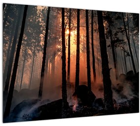 Tablou cu pădure întunecată (70x50 cm), în 40 de alte dimensiuni noi